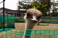 �S���ǂ߂����œǂ߂Ȃ��B