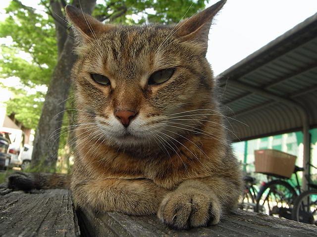 �`���R�����B