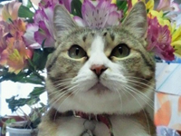 ����Ȃ̂��ł�