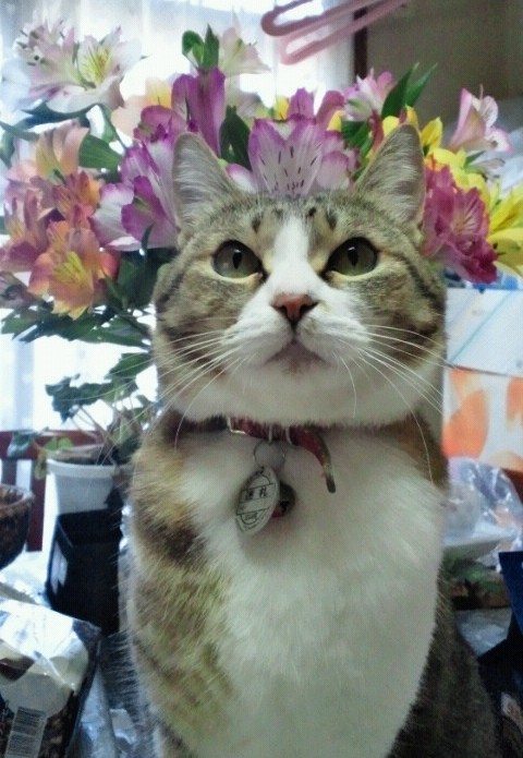 ����Ȃ̂��ł�