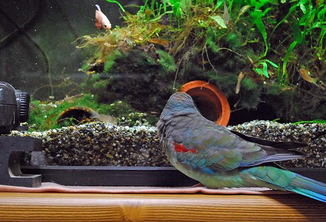 ���߂���