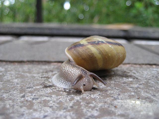 ���E�̍����i�Ⴓ?�j