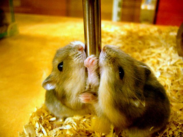 �����n���Y