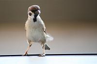 �䂪����Łc