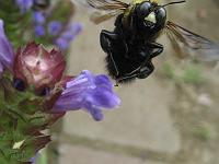 �}���n�i�o�`