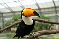 �I�I�n�V����