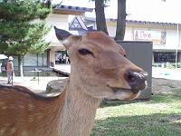 �������񂭂�����