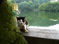 �����񂶂�ˁ[���I