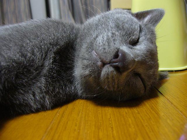 �y�y�y�D�D�D