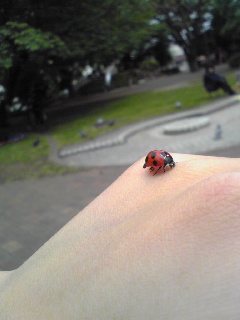 �Ă�Ƃ��ނ�