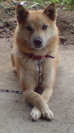 �Ȃ񂩂��炻���ȖҌ�