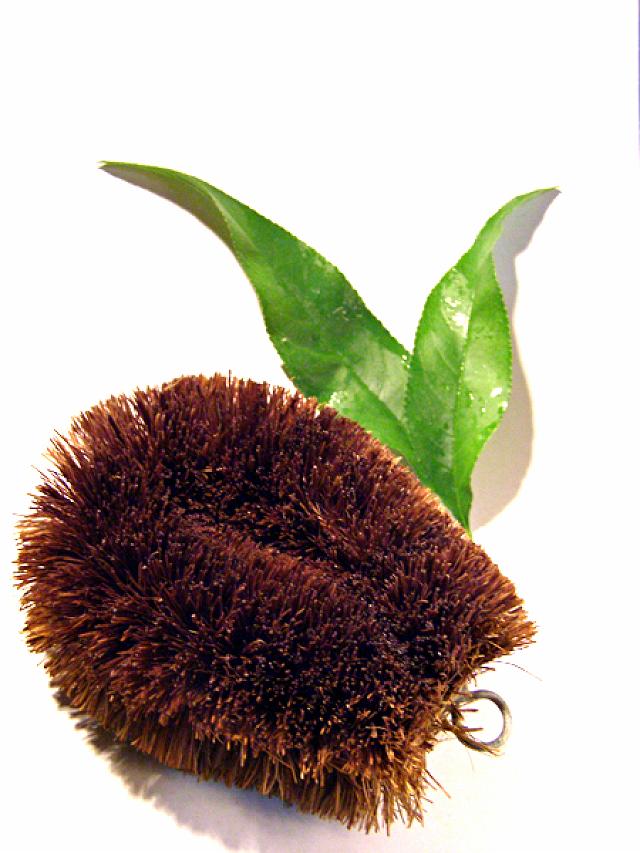 ���������킩��Ȃ�