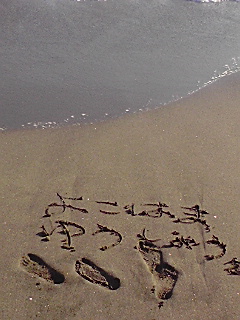 ���l�D��