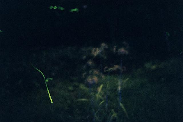 �u�����܂����I