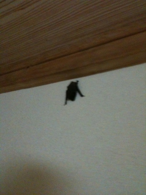 �R�E����