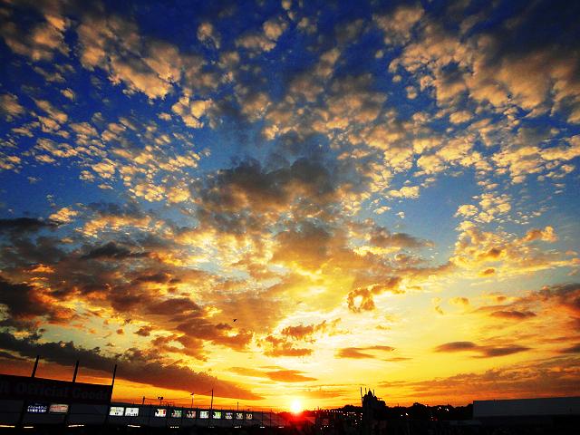 �ăt�F�X�I�I�I