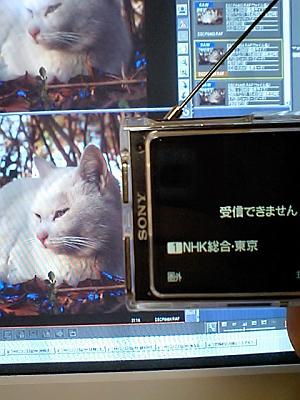 �����B�����ʐ^�������B