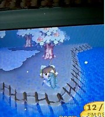 �u���O�X�V���E�E�Q�[���������