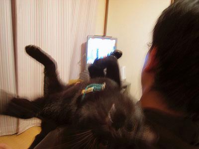 �Ȃ߂���ƌ��Ă��܂�