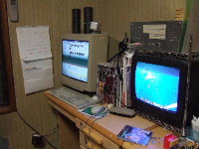 �Ђ΂肳��̕ӂ�ł�