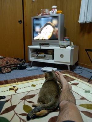 �������΂���̃z�b�g�J�[�y�b�g�̏��