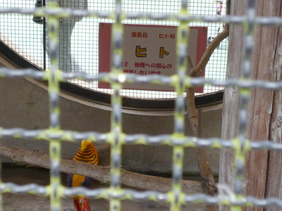 市川市動植物園には動物向けに説明板を設置しているケージがある
