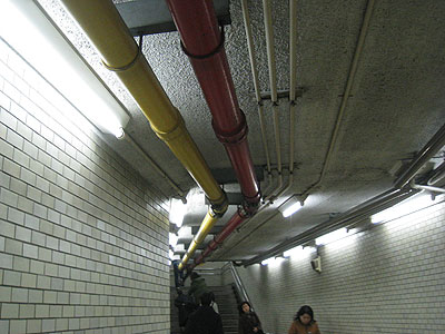 �_�ے��w�̔z�ǂ͐F��������Ă��Ă킩��₷��