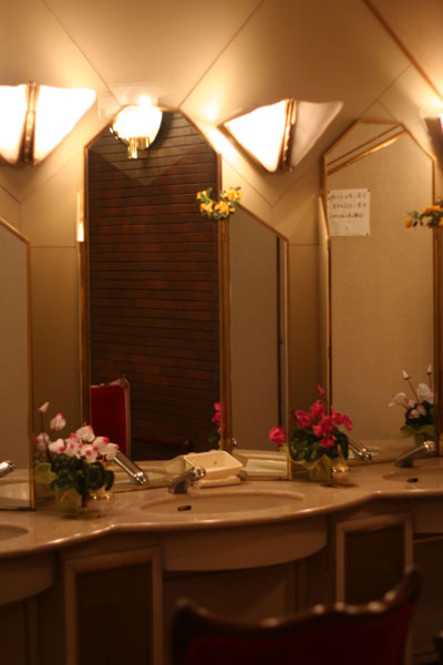 �k�C���ɂ̓S�[�W���X�Ȍ��w�p�g�C��������