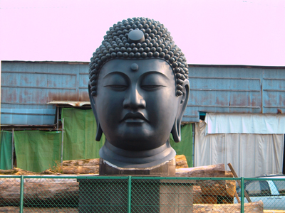 ��̌����ɑ啧�l�̓���