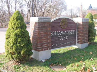 �~�V�K���ɂ́u�K���ʂ�v������