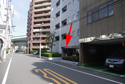 �����̖k��ɁA�M���I�Ȗ��O�̌��������W���Ă���