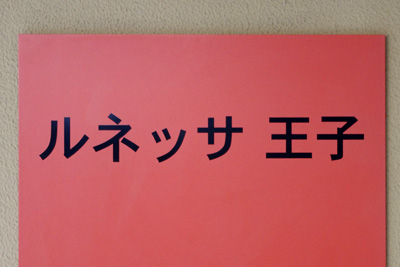 �����̖k��ɁA�M���I�Ȗ��O�̌��������W���Ă���