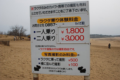 風雲 コネタ城 鳥取砂丘ではラクダを撮るのも有料 デイリーポータル Z