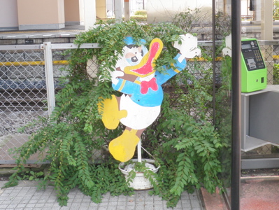 �s�c�w�̉B��L����