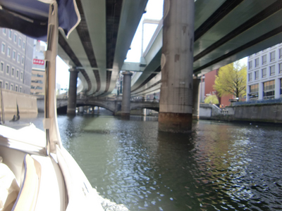 ��Ɍ����ďW�q���Ăъ|����Ŕ�