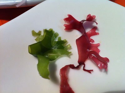 風雲 コネタ城 海藻サラダの赤と緑は同じ種類 デイリーポータル Z