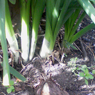 �l�M�������܂�������H������