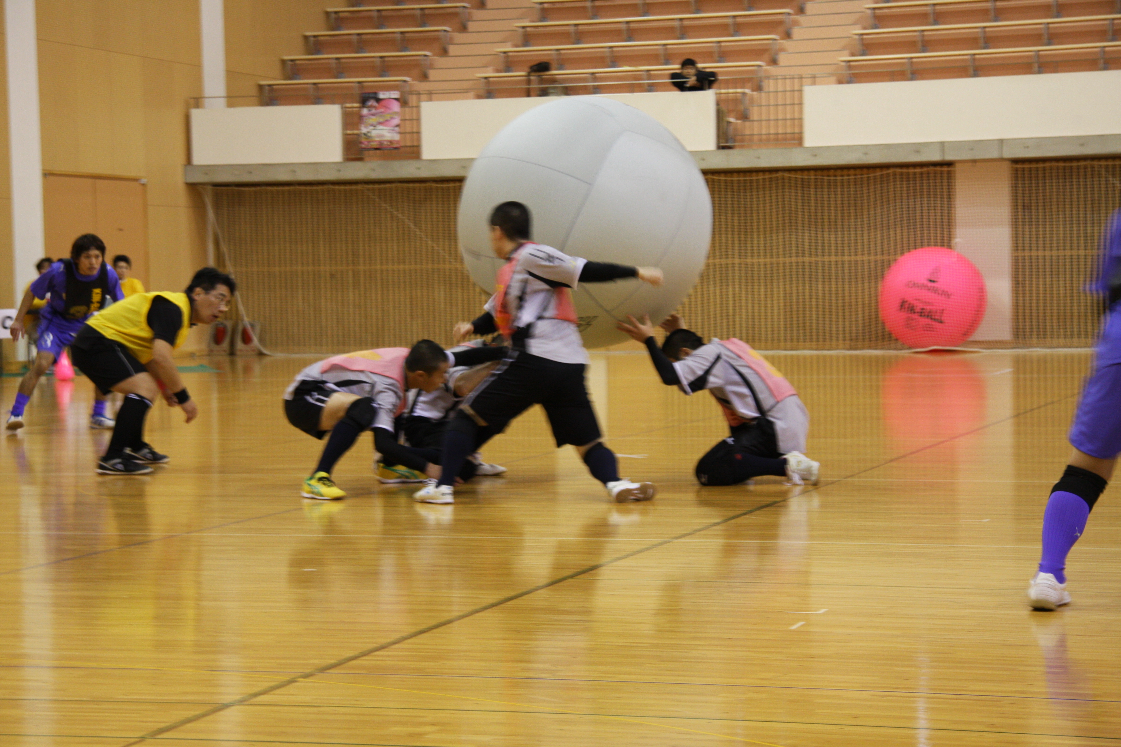 ���{����܂����B