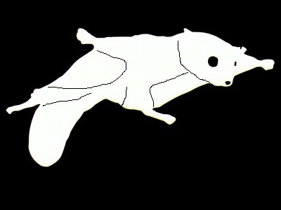 �������K