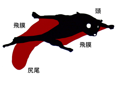 �ނ����сH