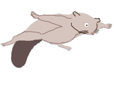 ���T�T�r�ł́H