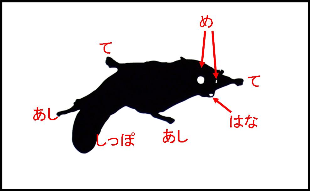 ���T�T�r���������K