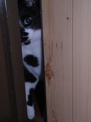 �l�q�����ɗ���䂪�Ɓc