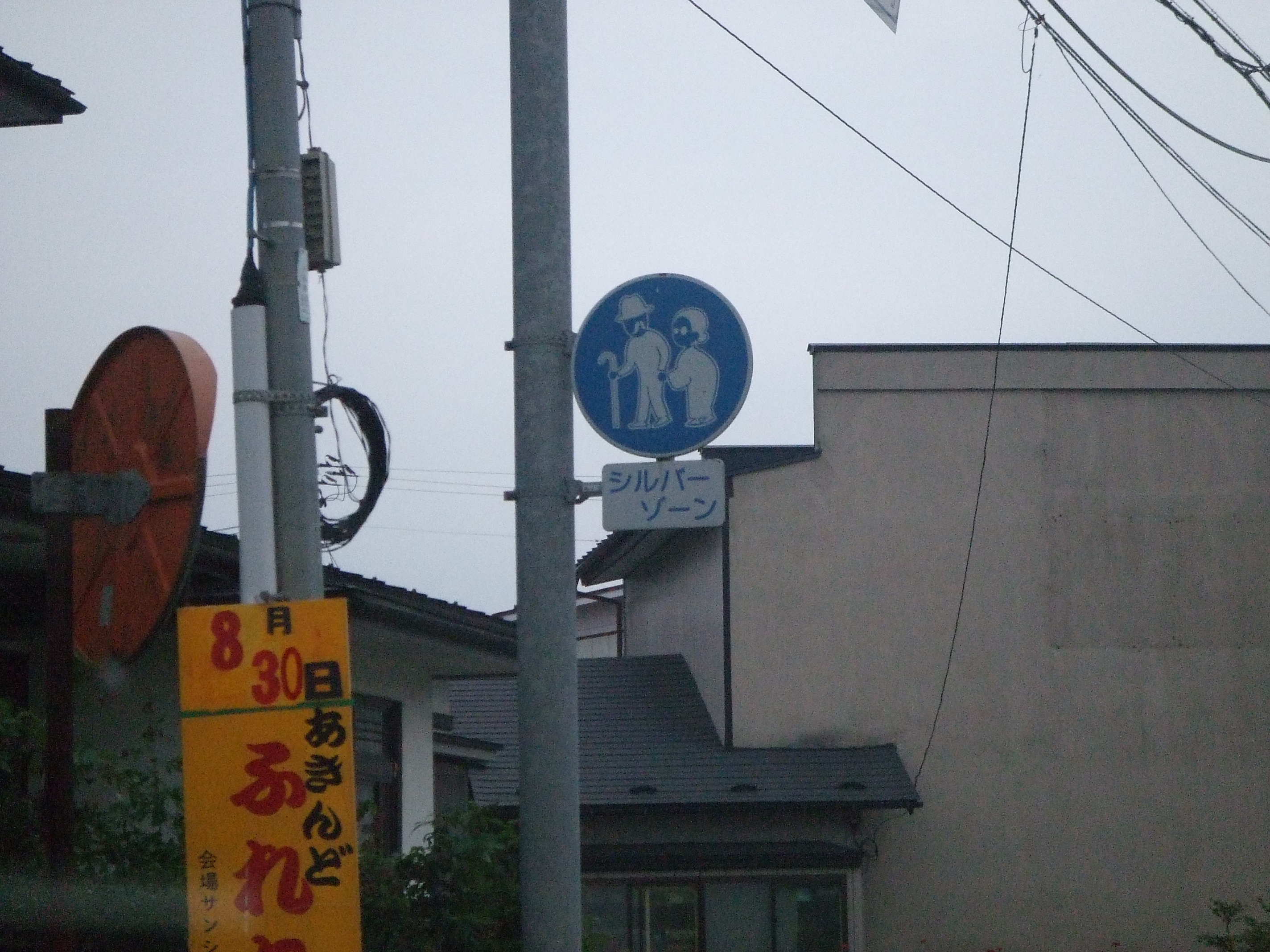 ��茧�ɂ��V���o�[�]�c