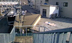 �����ɂ������悤�ł�