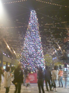 1�N�O�Ɍ����Ƃ����c