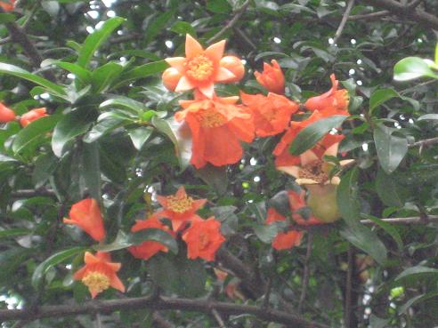 �m���Ă�����