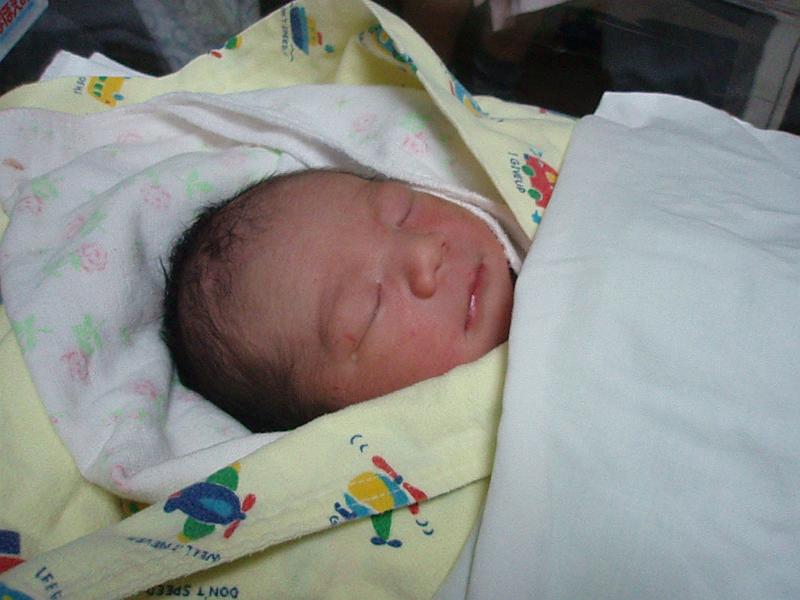 ちょっと見てきて うまれたての赤子 新生児 デイリーポータルz