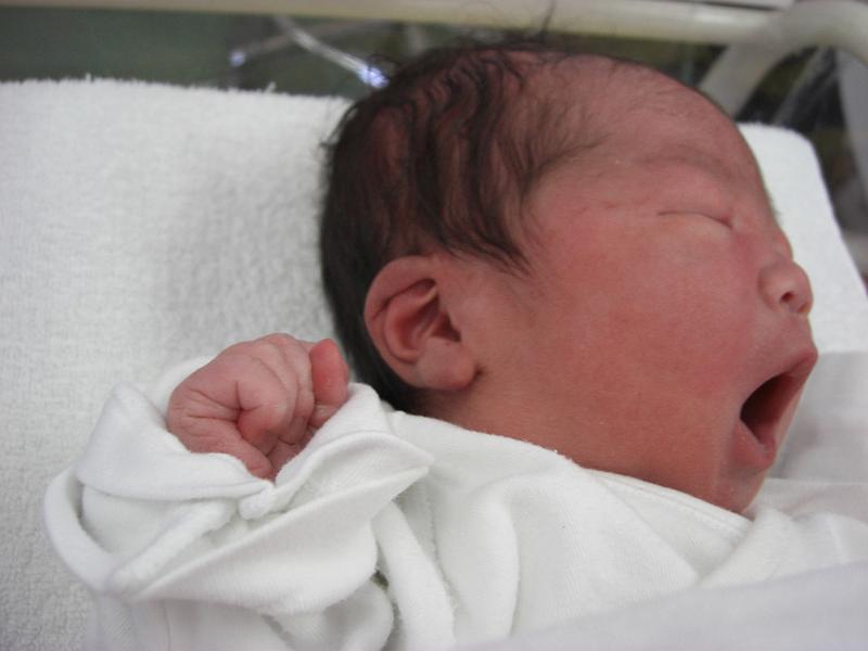 ちょっと見てきて うまれたての赤子 新生児 デイリーポータルz