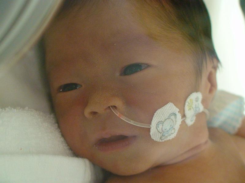 ちょっと見てきて うまれたての赤子 新生児 デイリーポータルz